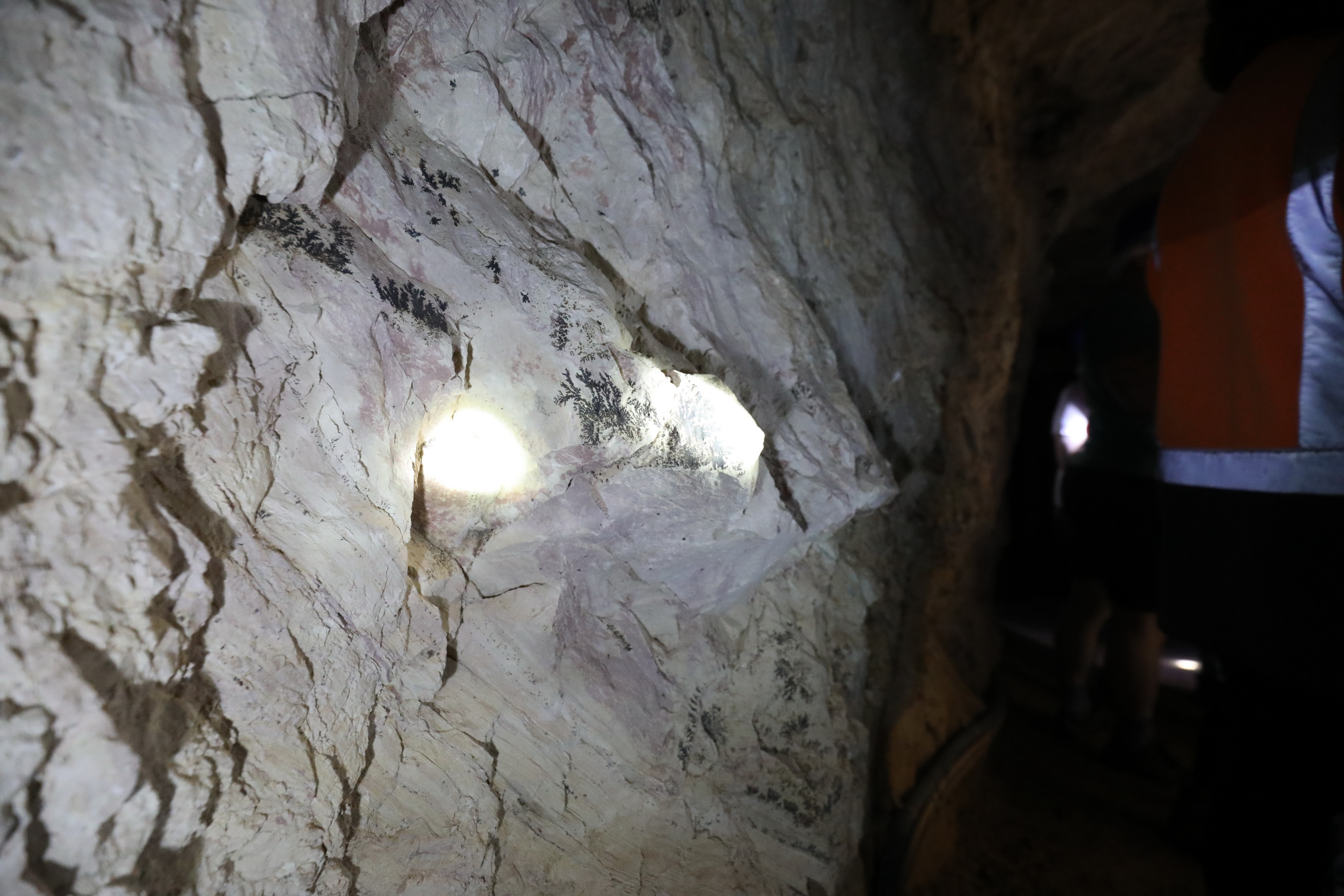 2019 09 01 16 14 20 Canon EOS 5D Mark IV 0010